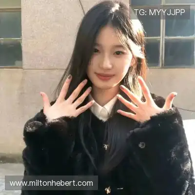 沈辉